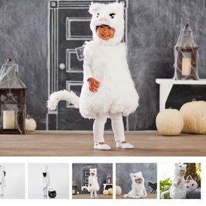 Pottery Barn Kids cat costume